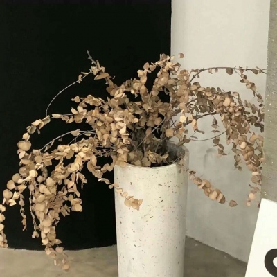 兽设Q版设计实用教程福瑞交流群